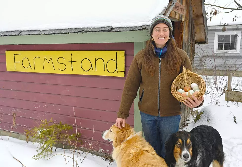 Farmer Ashley Fioretti gathering eggs with her dogs Scout (left) and Petey at Little Flower Farm in Middletown Springs - JON OLENDER