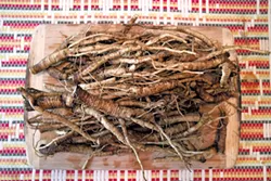 Burdock root - COURTESY OF MISHA M. JOHNSON
