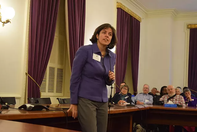 Democratic speaker nominee Mitzi Johnson addresses House Democrats on Saturday. - TERRI HALLENBECK