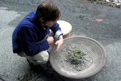 John Wetzel, owner of Stone Leaf Teahouse, preparing to make lapsang souchong - SUZANNE PODHAIZER