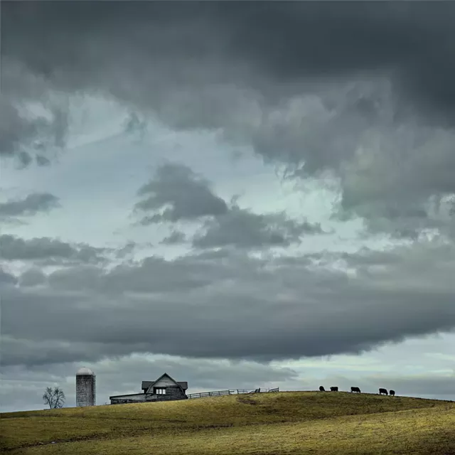 Jim Westphalen, "Mountain View, Stock Farm"