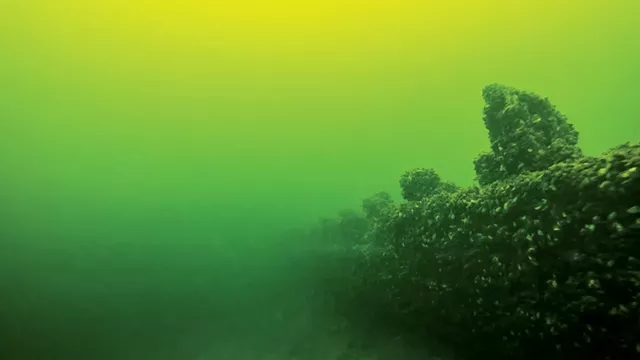 An underwater shipwreck in Lake Champlain - PHOTOS COURTESY OF LAKE CHAMPLAIN MARITIME MUSEUM