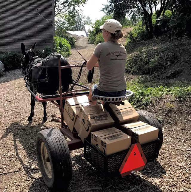 Kaleigh Hamel and Ruby delivering eggs - SUZANNE PODHAIZER