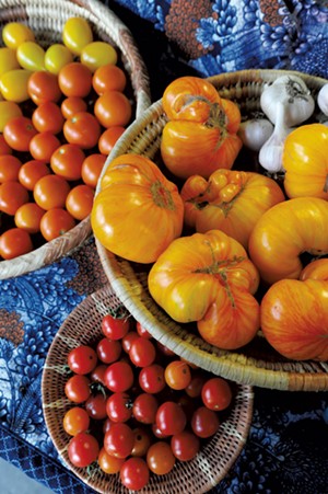 Tomatoes at Green Mountain Girls Farm - JEB WALLACE-BRODEUR