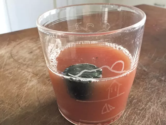 Frozen spirulina cube in apple cider - SALLY POLLAK