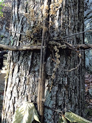 A makeshift cross fastened to a tree at the Lower West Bolton cliffs - MOLLY WALSH