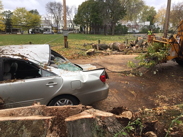 A large tree crushed a car and took down power lines in Burlington's Lakeside neighborhood. - SASHA GOLDSTEIN