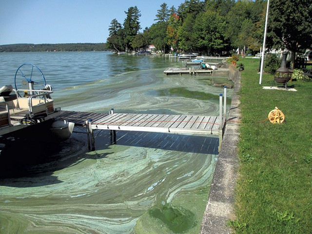 Blue-green algae in front of Dick and Cheryl Benton's home on Lake Carmi earlier this year - COURTESY OF DICK BENTON