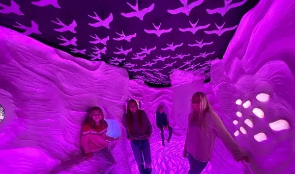 Bailing Out of Essex, Babaroosa Proposes an Immersive Art Exhibit in Burlington's Memorial Auditorium