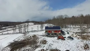 Silloway Maple [SIV528]