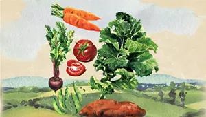 Nurseries and Farms Adapt to Support Pandemic Gardening Boom