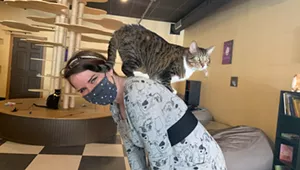 Stuck in Vermont: Kitty Korner Caf&eacute; in Barre Finds Furever Homes for Felines