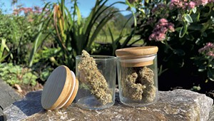 When Legal Cannabis Goes on Sale in Vermont, It Must Be in Recyclable, Nonplastic Containers
