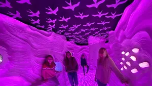 Bailing Out of Essex, Babaroosa Proposes an Immersive Art Exhibit in Burlington's Memorial Auditorium