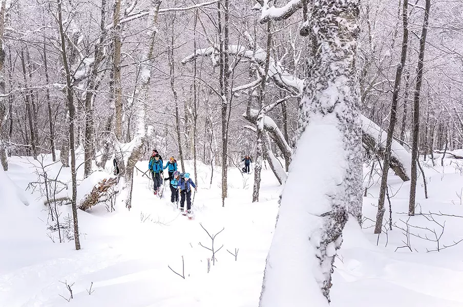 Uphill skiing - COURTESY OF CATAMOUNT TRAIL ASSOCIATION
