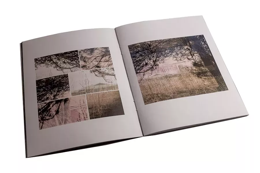 Mary Zompetti's new book, 45 Degrees North - COURTESY PHOTO