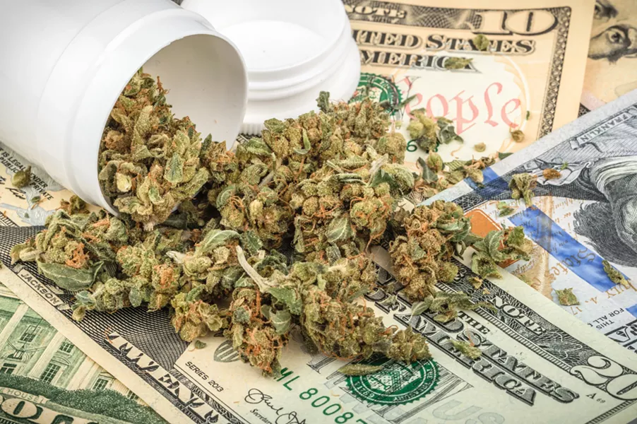 Cash crop? - DREAMSTIME