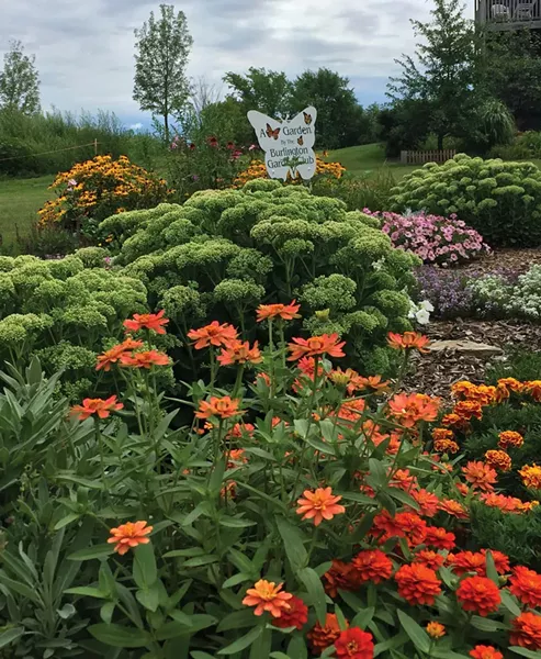 Butterfly Garden at Vermont Garden Park - COURTESY OF BUTTERFLY GARDEN