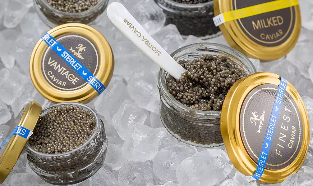 Mottra Caviar - OLIVER PARINI