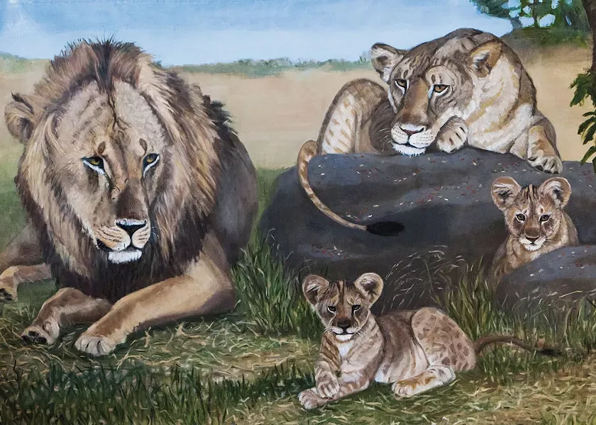 "African Lion" by Lark Upson - IMAGES COURTESY OF THE GALLERY AT CENTRAL VERMONT MEDICAL CENTER