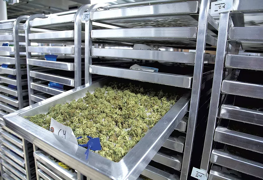 Bud rack - COURTESY OF JANE SANDELMAN