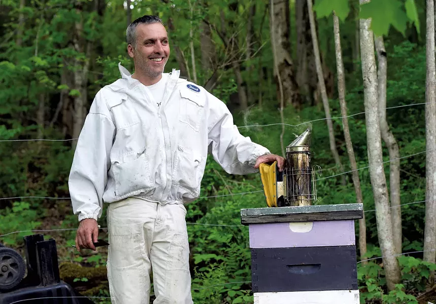 David Tremblay with a hive in Montpelier - JEB WALLACE-BRODEUR