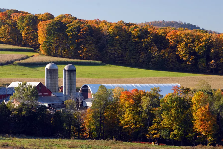 Molly Brook Farm, East Cabot - JEB WALLACE-BRODEUR
