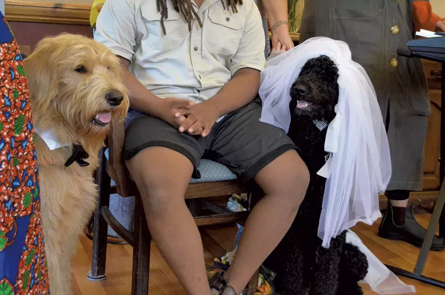 Boy and Flossie at the wedding - SASHA GOLDSTEIN