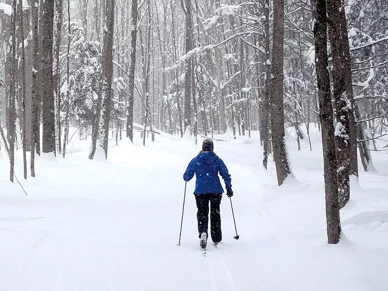 Cross-country skiing at Morse Farmfile: jeb wallace-brodeur