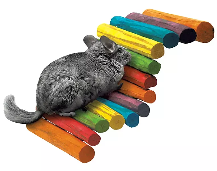 10-pets-chewstix.jpg