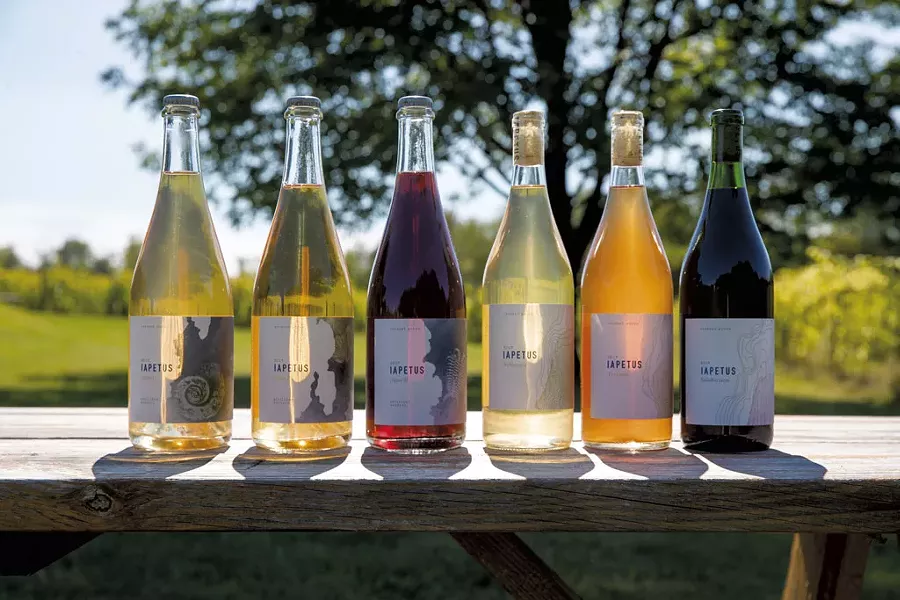 Iapetus wines at Shelburne Vineyard - JAMES BUCK