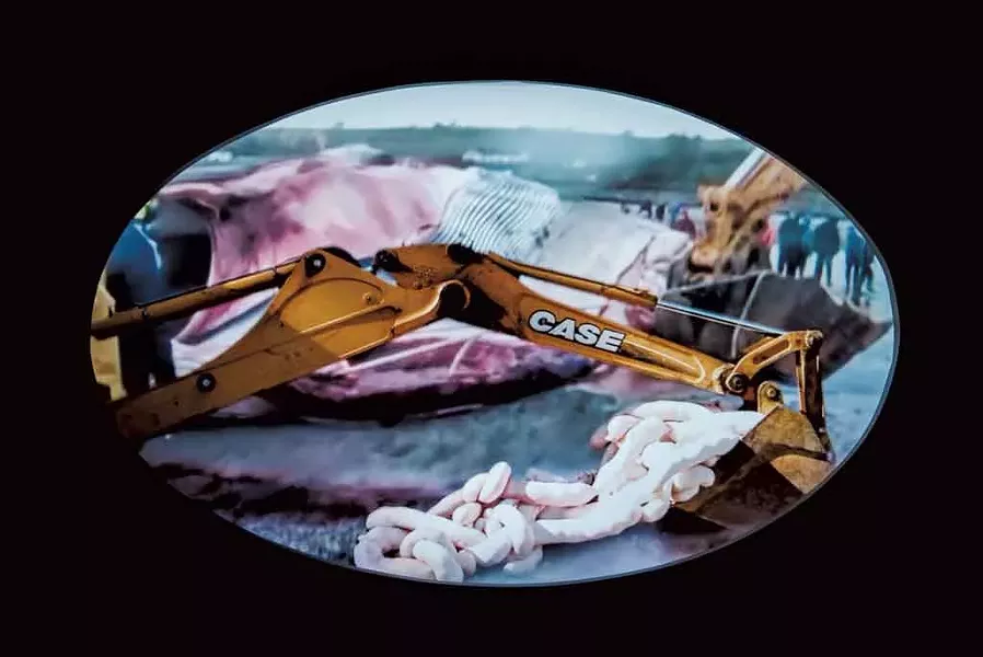 Video of "Skin Ego" - COURTESY OF SAM SIMON