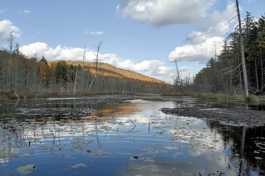 A view from the Essex Chain of Lakes in Newcomb - COURTESY OF MIKE LYNCH