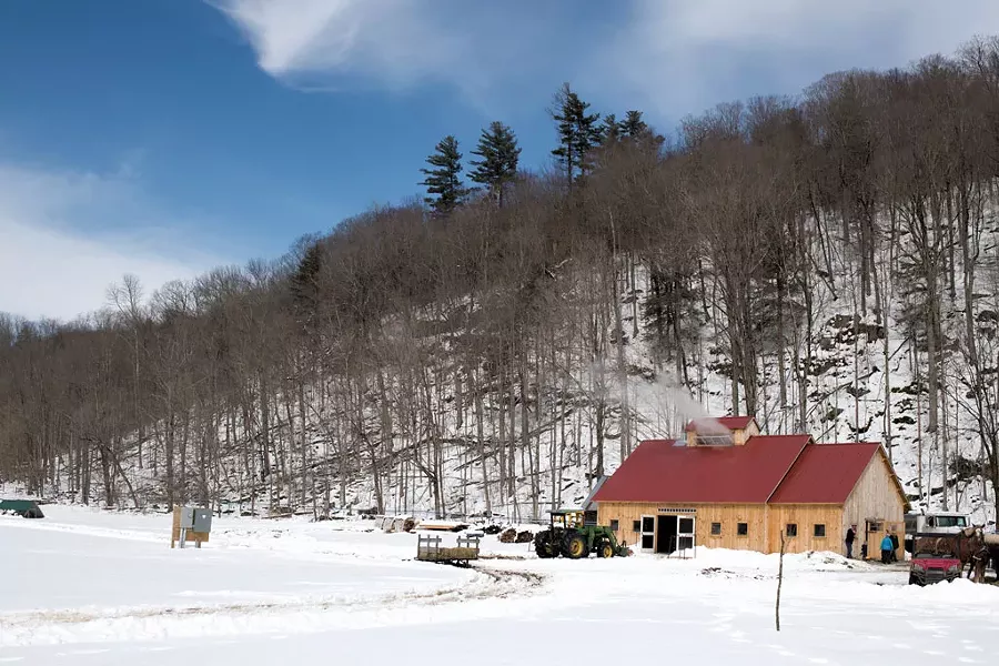 The Gateway Farm in Bristol - CALEB KENNA