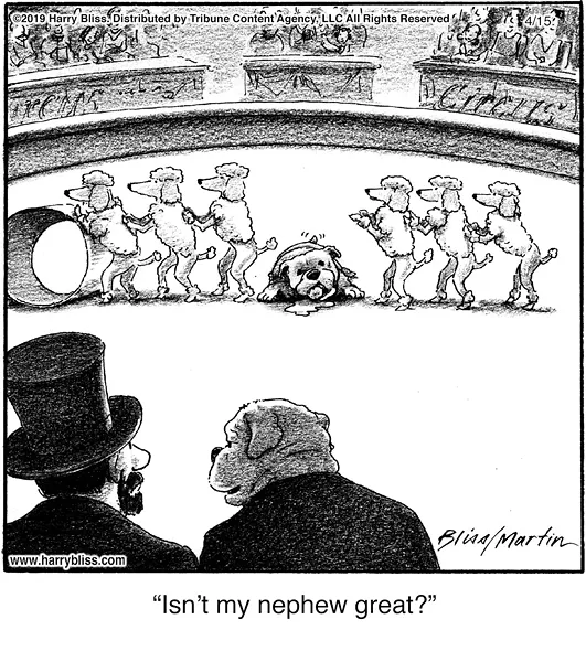 Cartoon collaboration of Harry Bliss and Steve Martin - COURTESY OF HARRY BLISS