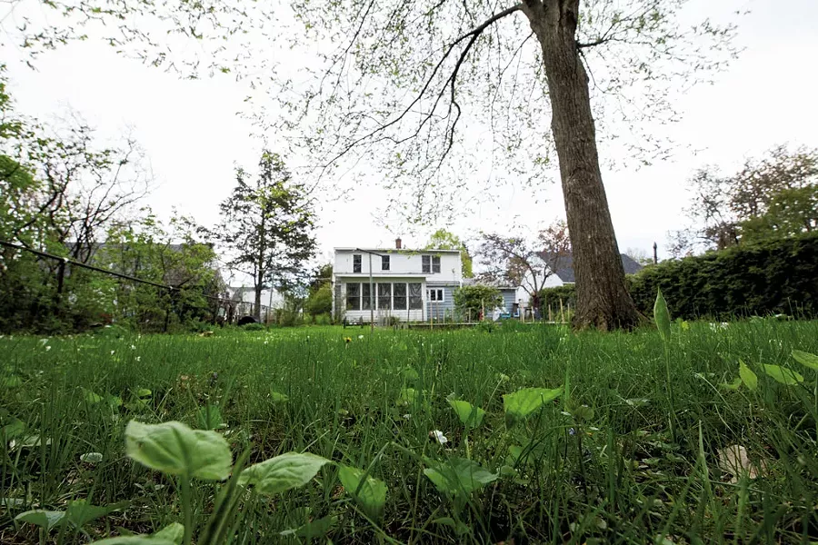 Lawn in need of TLC - LUKE AWTRY