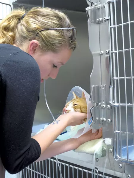 Jessica Haupt visiting her cat, Kitty - MATTHEW THORSEN