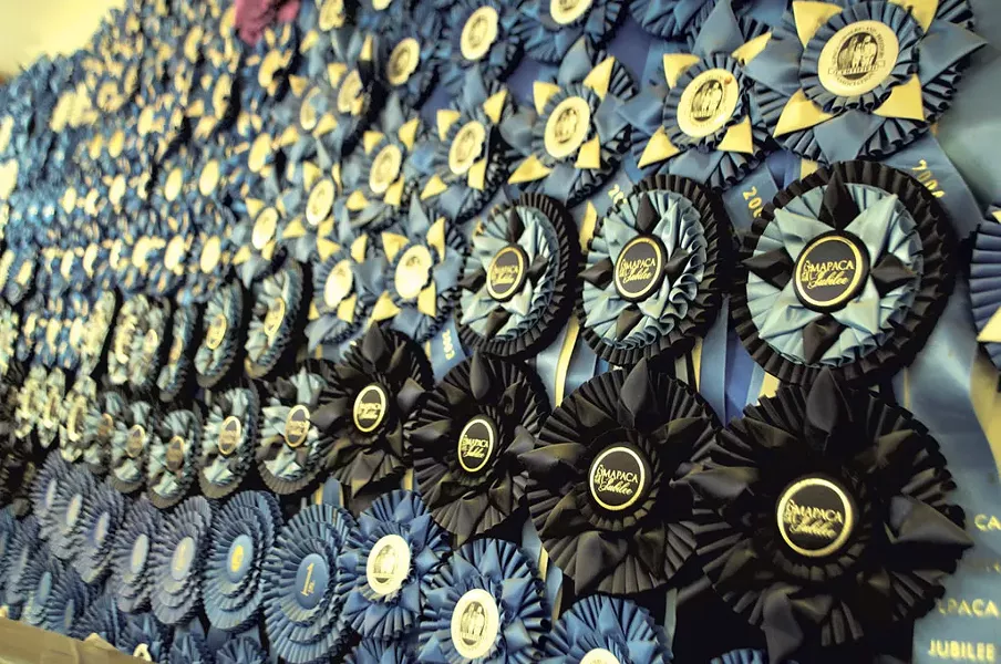 Championship ribbons won in alpaca shows - HANNAH PALMER EGAN