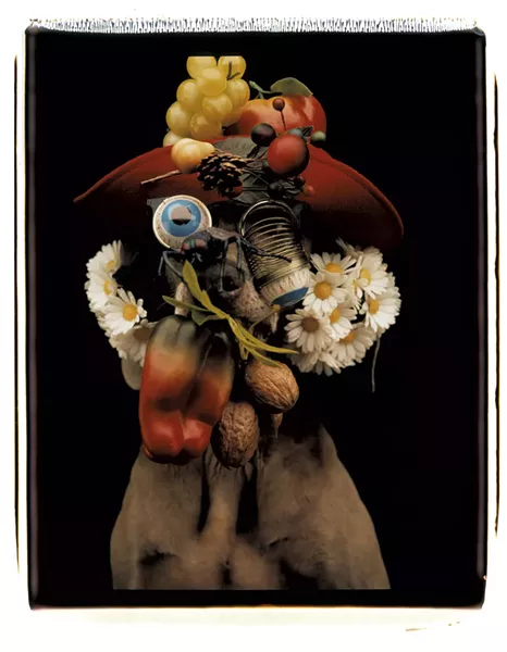 "Daisy Nut Ball" - COURTESY OF THE ARTIST AND SPERONE WESTWATER