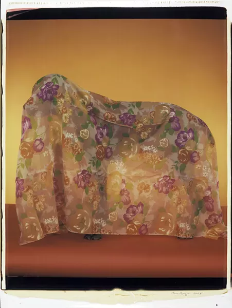 "Rain Coat" - COURTESY OF THE ARTIST AND SPERONE WESTWATER