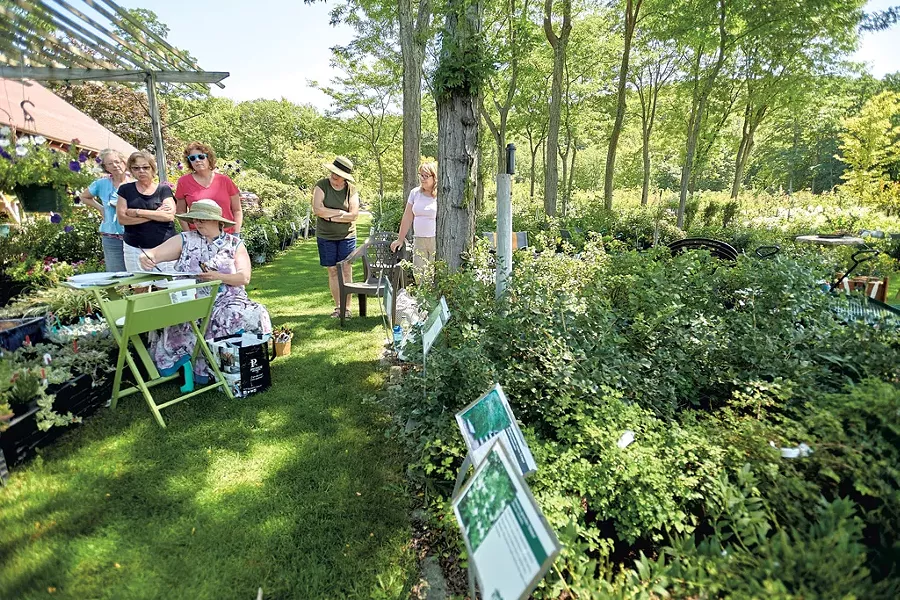 Ginny Joyner teaching a plein air watercolor painting workshop at Horsford Gardens and Nursery - BEAR CIERI