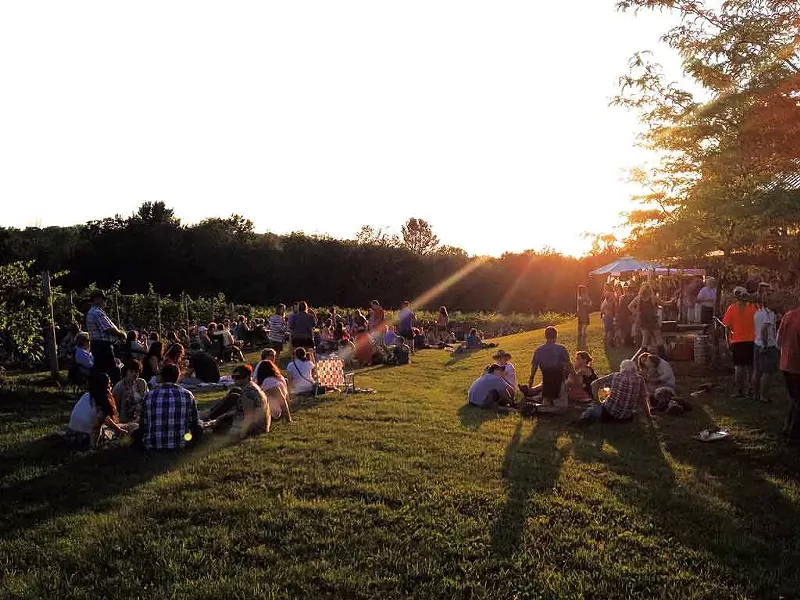 A concert at the vineyard - COURTESY OF SHELBURNE VINEYARD