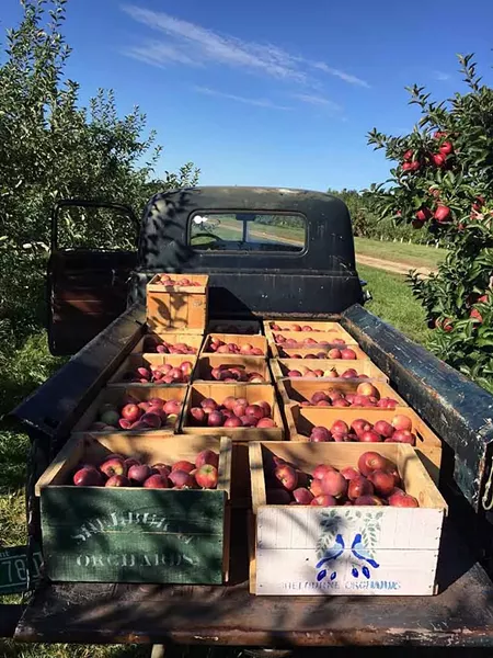 Shelburne Orchards - COURTESY OF SHELBURNE ORCHARDS