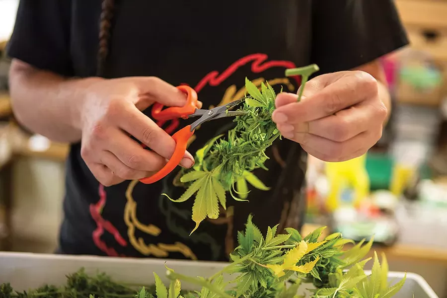 Green State Gardener - LUKE AWTRY
