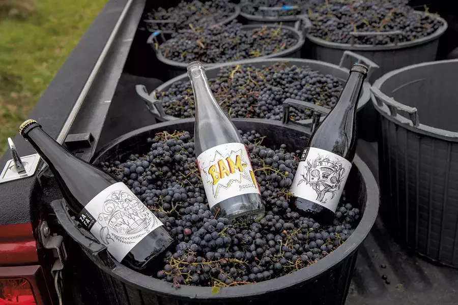 ZAFA Wines - JAMES BUCK