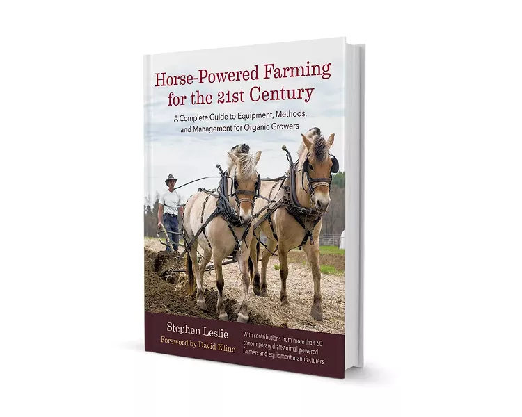 books1-7-ce6690433ca52ab3.jpg