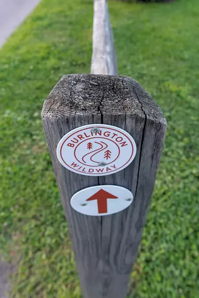 Exploring the Burlington Wildways - COURTESY OF ZOE RICHARDS