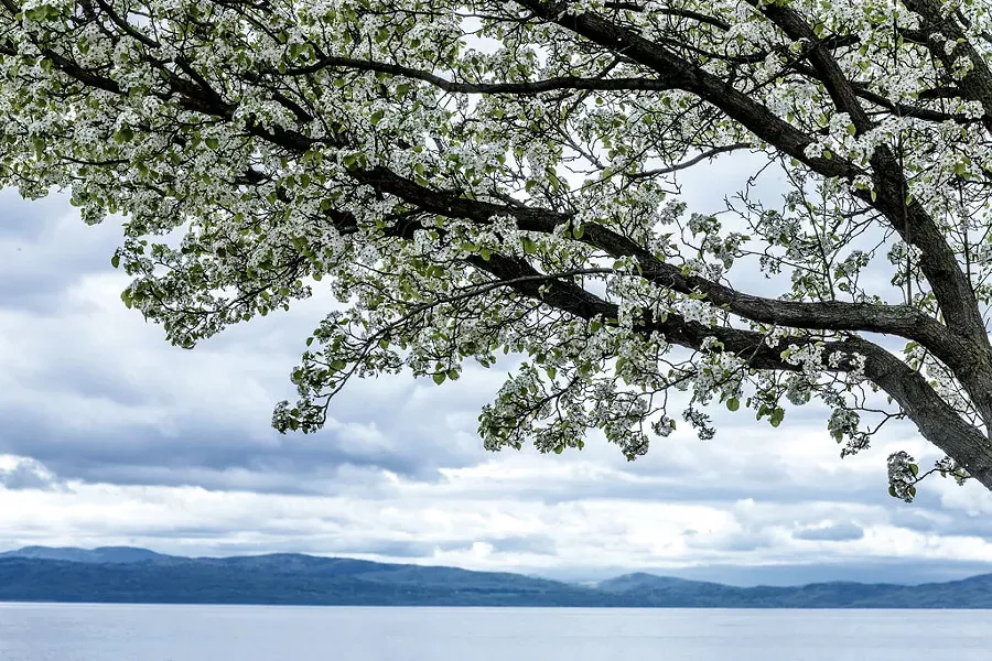 Lake Champlain - LUKE AWTRY