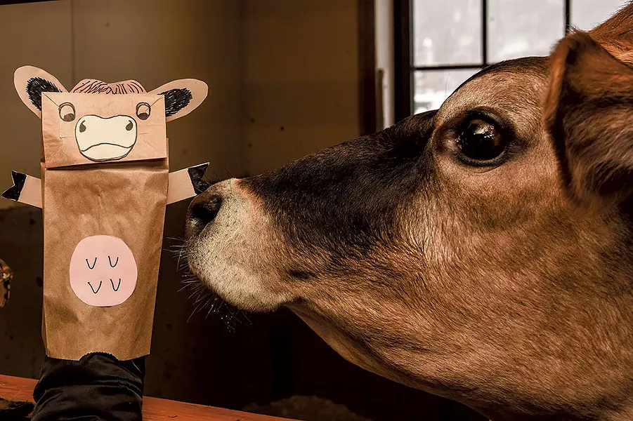 Virtual tours at Woodstock's Billings Farm & Museum