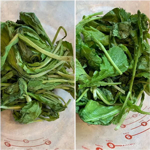 Radish greens before (left) and after a cool soak - MELISSA PASANEN